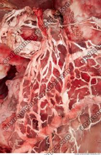 RAW meat pork viscera 0013